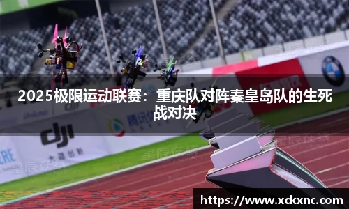小鸟综合体育官方网站