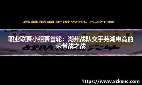 职业联赛小组赛首轮：湖州战队交手芜湖电竞的荣誉战之战