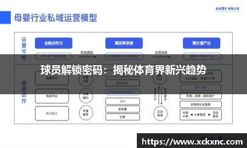 小鸟综合体育官方网站