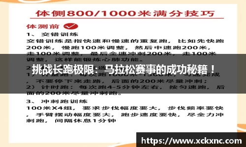 小鸟综合体育官方网站